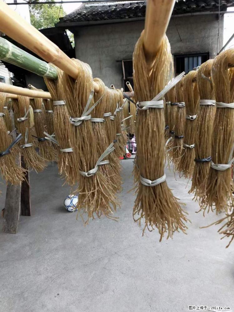 【灌阳正宗红薯粉】美女家里自己做的，干净卫生，假一赔十，价格合理，抢购电话：13737312895 - 美食天地 - 石河子生活社区 - 石河子28生活网 shz.28life.com