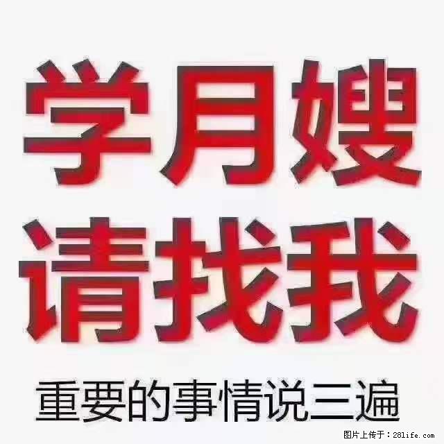 为什么要学习月嫂，育婴师？ - 其他广告 - 广告专区 - 石河子分类信息 - 石河子28生活网 shz.28life.com