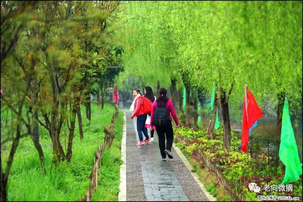 【春天，广西桂林灌阳县向您发出邀请！】江口老街又逢春 - 游山玩水 - 石河子生活社区 - 石河子28生活网 shz.28life.com