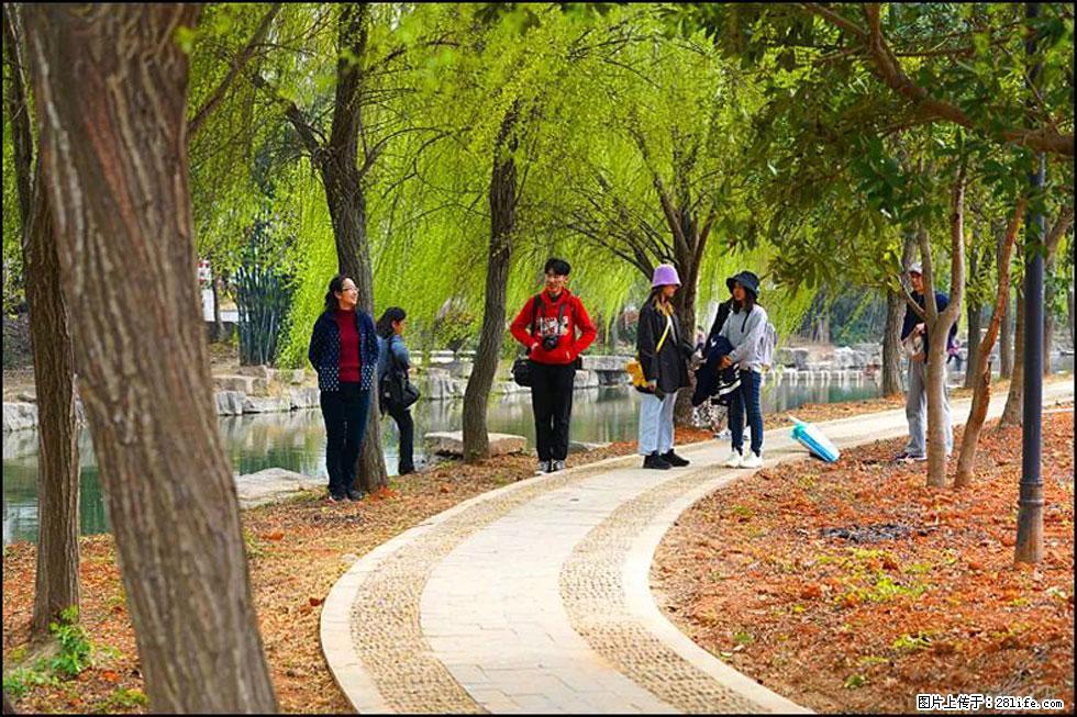 【春天，广西桂林灌阳县向您发出邀请！】江口老街又逢春 - 游山玩水 - 石河子生活社区 - 石河子28生活网 shz.28life.com