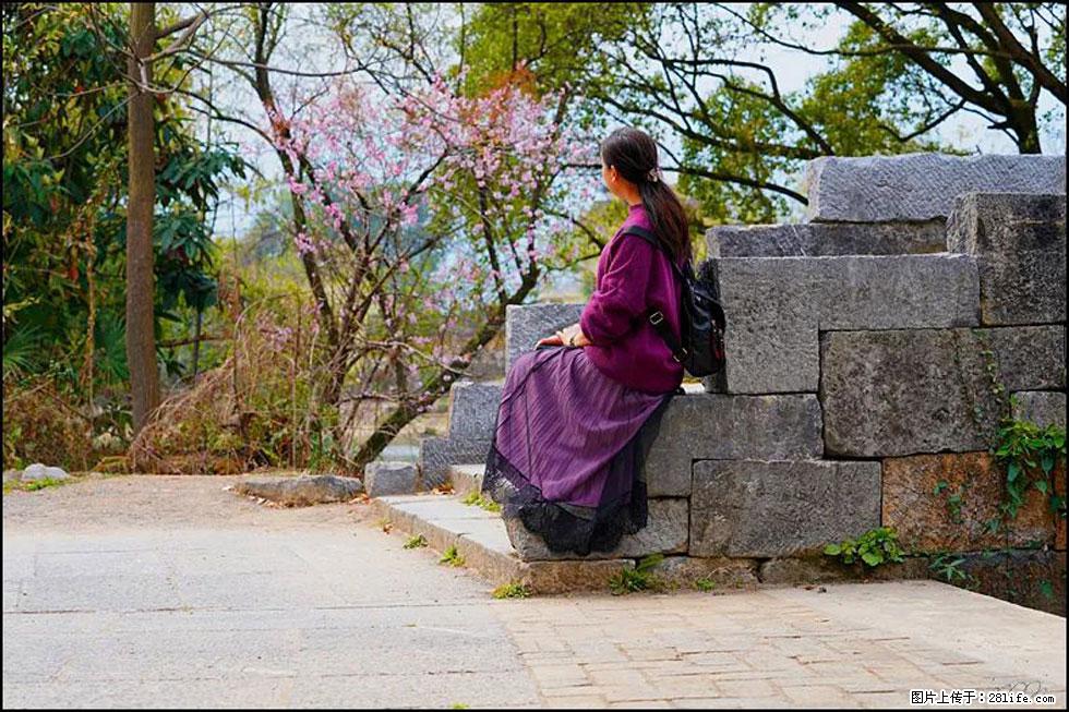 【春天，广西桂林灌阳县向您发出邀请！】江口老街又逢春 - 游山玩水 - 石河子生活社区 - 石河子28生活网 shz.28life.com