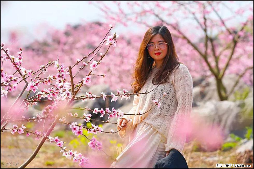 【春天，广西桂林灌阳县向您发出邀请！】望月岭上桃花开 - 游山玩水 - 石河子生活社区 - 石河子28生活网 shz.28life.com