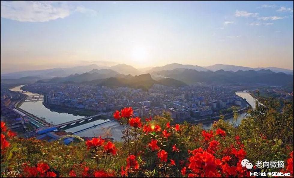 【春天，广西桂林灌阳县向您发出邀请！】登麒麟山，相约映山红 - 游山玩水 - 石河子生活社区 - 石河子28生活网 shz.28life.com