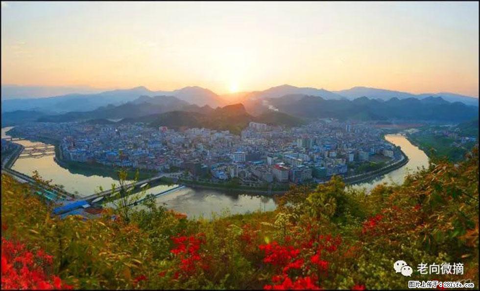 【春天，广西桂林灌阳县向您发出邀请！】登麒麟山，相约映山红 - 游山玩水 - 石河子生活社区 - 石河子28生活网 shz.28life.com