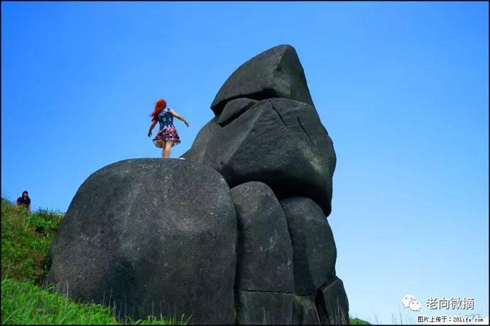 【春天，广西桂林灌阳县向您发出邀请！】宝盖山上映山红 - 游山玩水 - 石河子生活社区 - 石河子28生活网 shz.28life.com