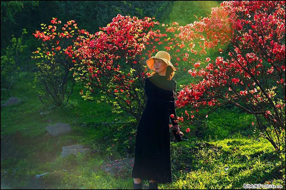 【春天，广西桂林灌阳县向您发出邀请！】春木界上映山红 - 游山玩水 - 石河子生活社区 - 石河子28生活网 shz.28life.com