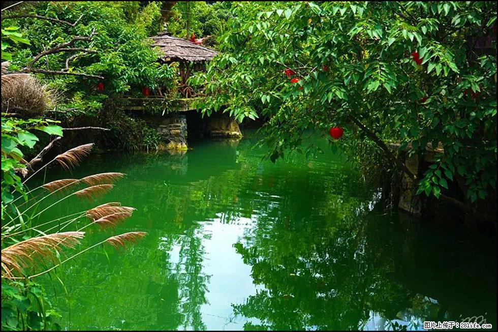 【春天,广西桂林灌阳县向您发出邀请!】如梦似幻莲溪庐 - 游山玩水 - 石河子生活社区 - 石河子28生活网 shz.28life.com