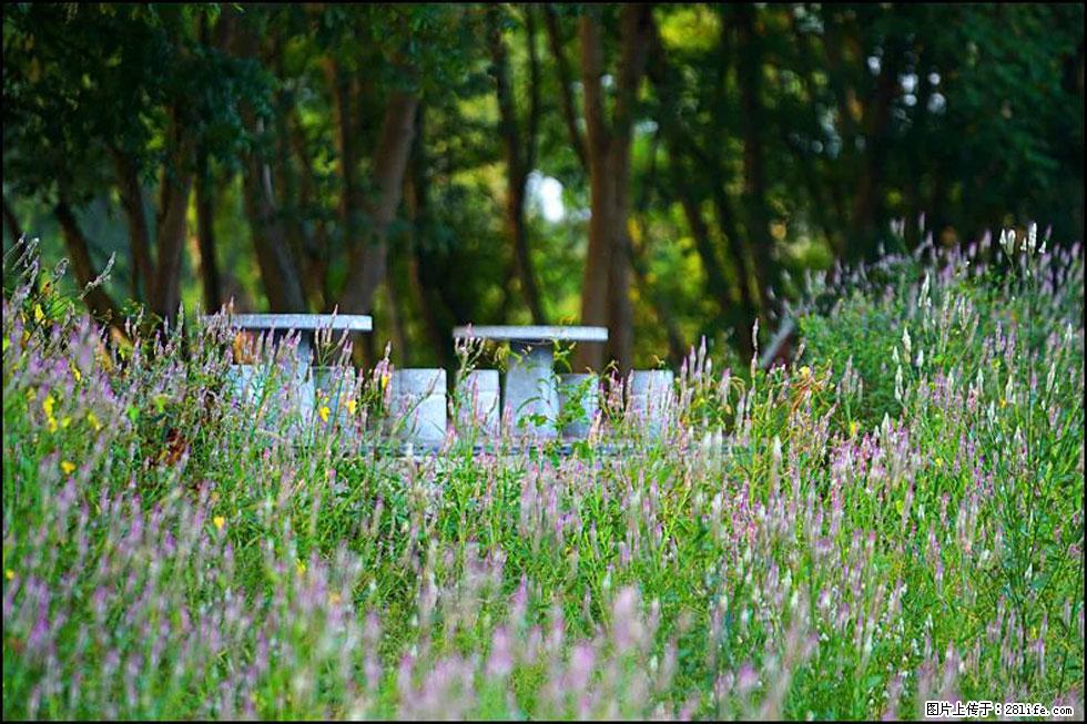 【春天,广西桂林灌阳县向您发出邀请!】熊家寨湿地公园 - 游山玩水 - 石河子生活社区 - 石河子28生活网 shz.28life.com