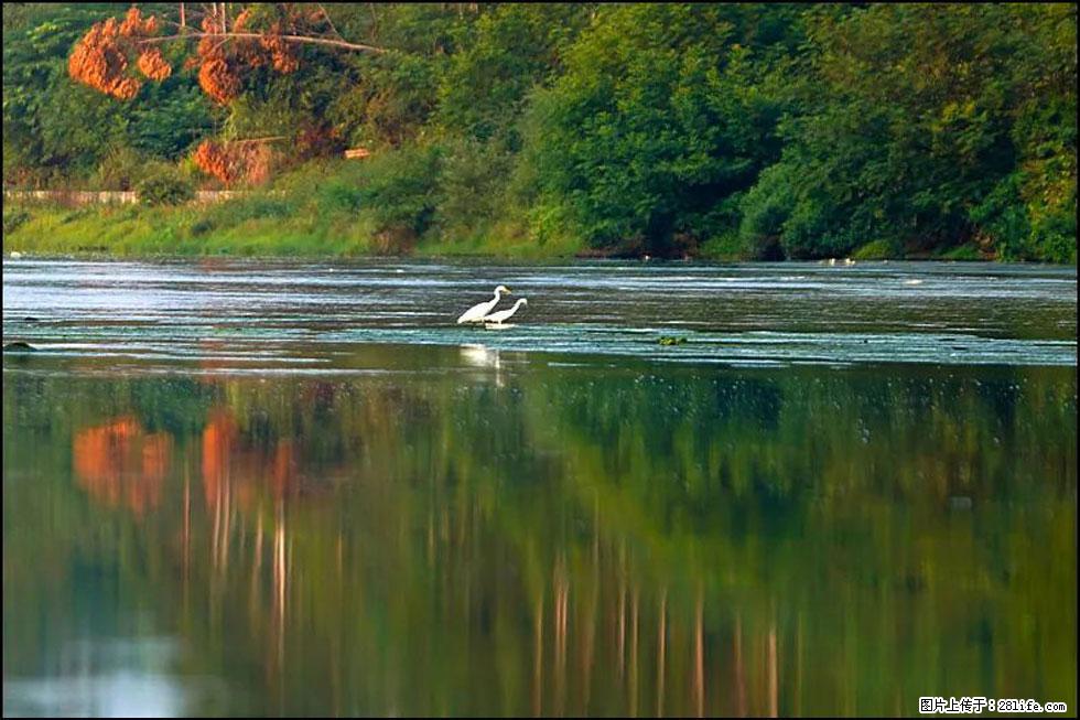 【春天,广西桂林灌阳县向您发出邀请!】熊家寨湿地公园 - 游山玩水 - 石河子生活社区 - 石河子28生活网 shz.28life.com