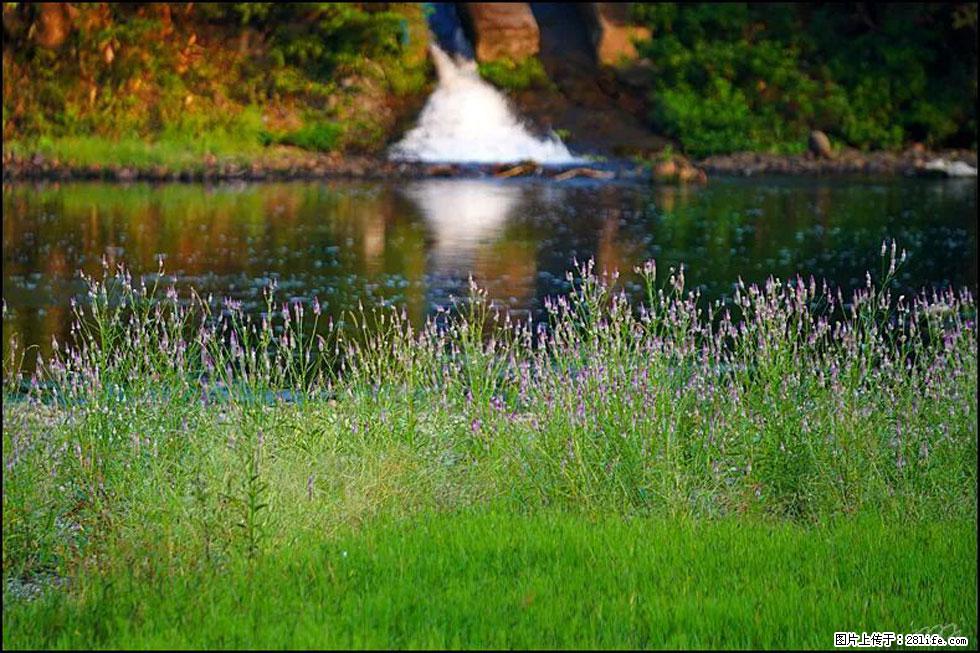 【春天,广西桂林灌阳县向您发出邀请!】熊家寨湿地公园 - 游山玩水 - 石河子生活社区 - 石河子28生活网 shz.28life.com