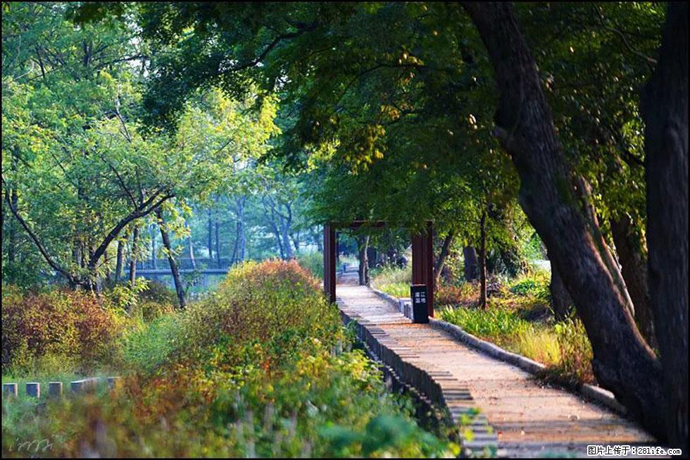 【春天,广西桂林灌阳县向您发出邀请!】熊家寨湿地公园 - 游山玩水 - 石河子生活社区 - 石河子28生活网 shz.28life.com