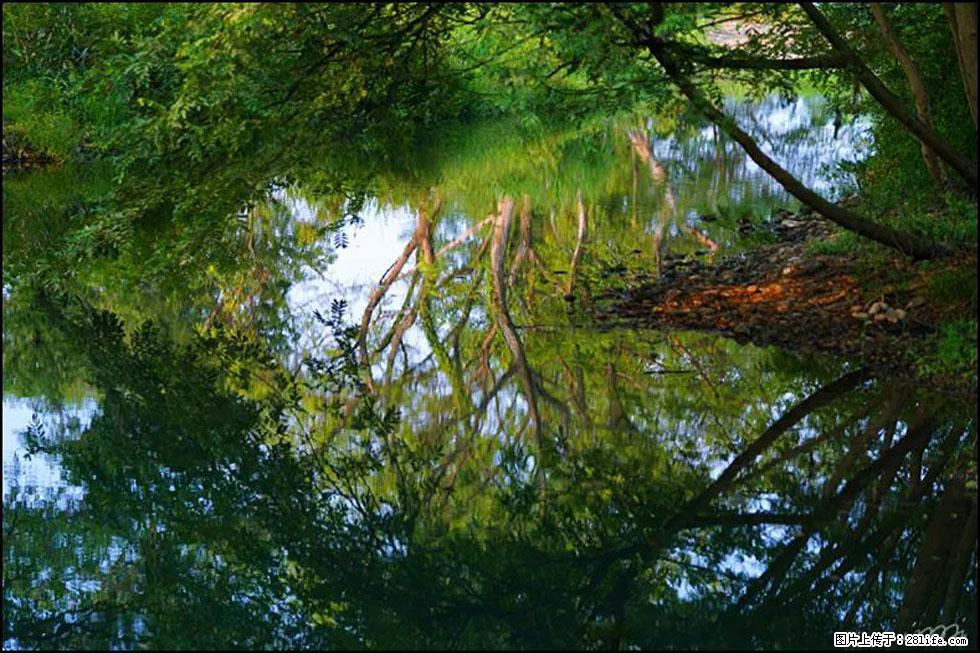 【春天,广西桂林灌阳县向您发出邀请!】熊家寨湿地公园 - 游山玩水 - 石河子生活社区 - 石河子28生活网 shz.28life.com