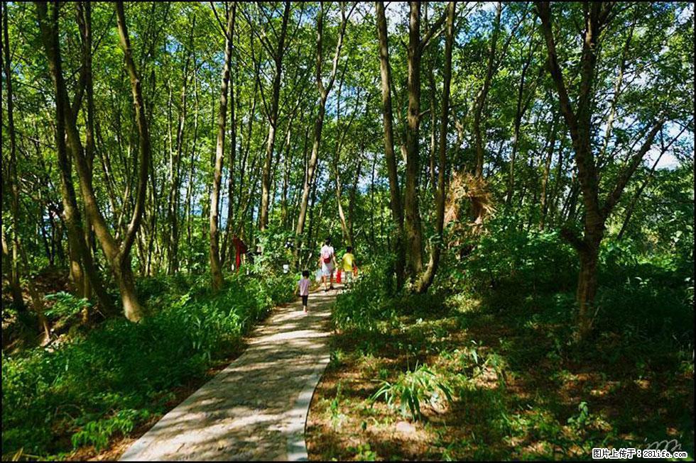 【春天,广西桂林灌阳县向您发出邀请!】熊家寨湿地公园 - 游山玩水 - 石河子生活社区 - 石河子28生活网 shz.28life.com