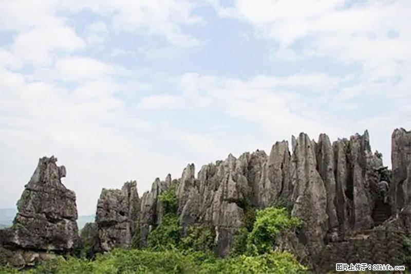 桂林旅游名城景点:灌阳文市石林 - 游山玩水 - 石河子生活社区 - 石河子28生活网 shz.28life.com