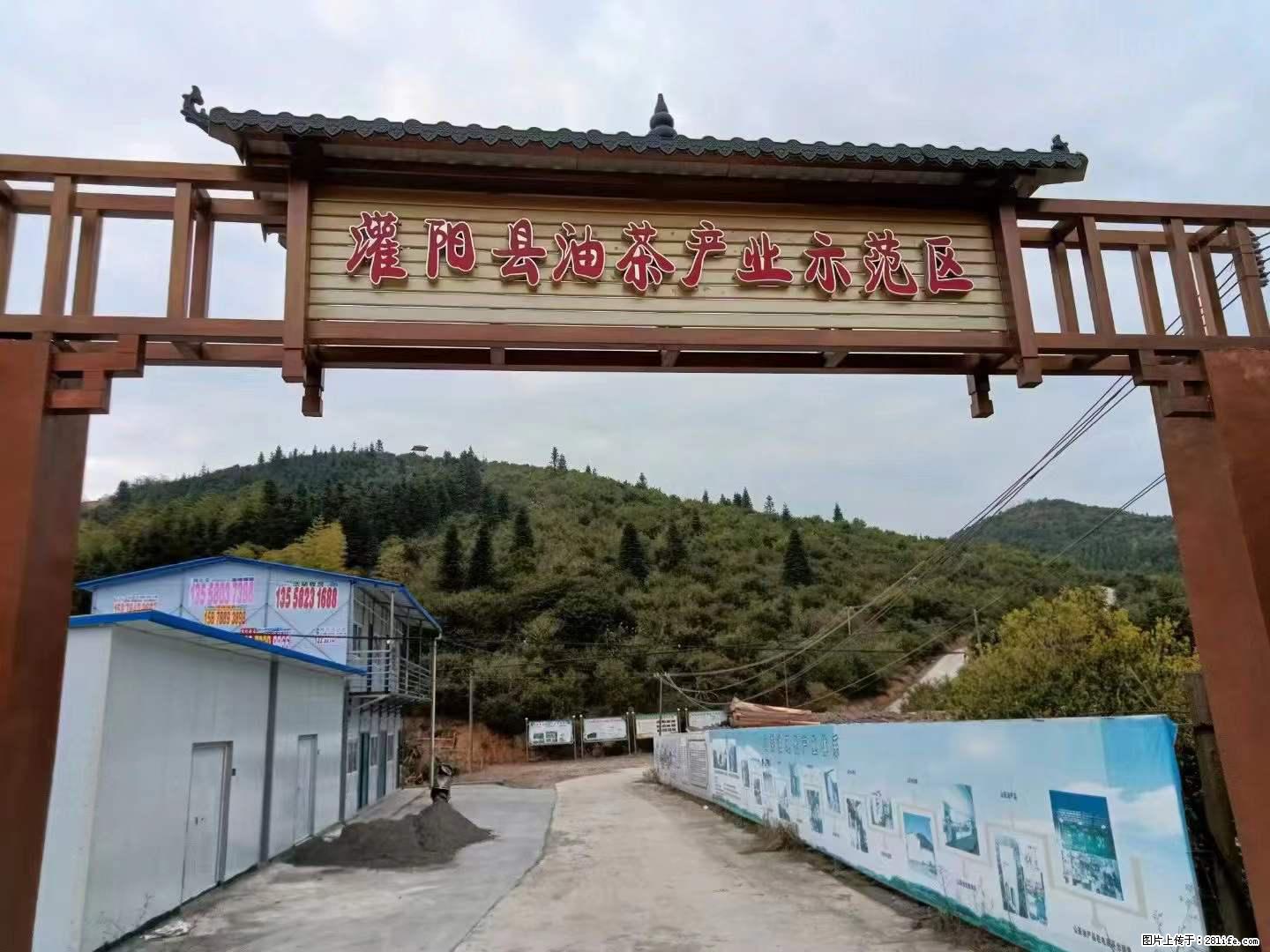 【灌阳县油茶产业示范区】一个有着充实的精神生活的人,对待身外之物自会有一种淡泊的态度 - 土特产 - 饮食特产 - 石河子分类信息 - 石河子28生活网 shz.28life.com