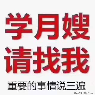 为什么要学习月嫂，育婴师？ - 石河子28生活网 shz.28life.com
