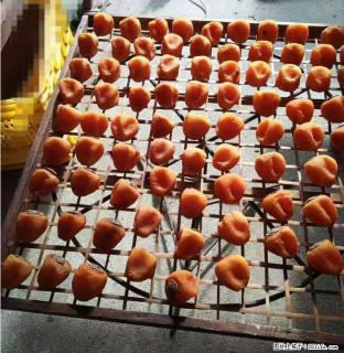 广西桂林平乐桥亭【柿饼之乡】2025年纯手工制作、无任何添加剂的第一批柿饼准备上市了，欢迎联系订购！ - 石河子28生活网 shz.28life.com