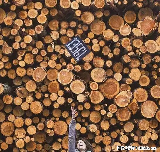 辞掉工作周游世界?现在他们在洗厕所…… - 游山玩水 - 石河子生活社区 - 石河子28生活网 shz.28life.com