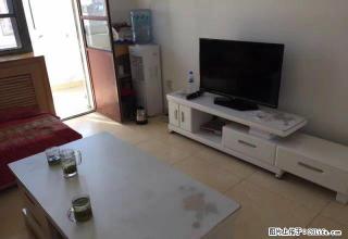 23小区 租金一个月一付 2室 家电全 拎包住 急租 - 石河子28生活网 shz.28life.com