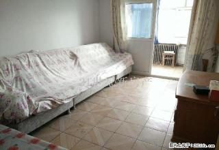 700块急.租 6小区 4楼 织染厂晚市对面 简装 - 石河子28生活网 shz.28life.com