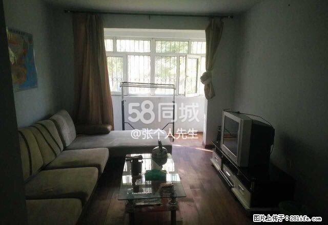 白杨小区 2室1厅1卫 - 房屋出租 - 房屋租售 - 石河子分类信息 - 石河子28生活网 shz.28life.com