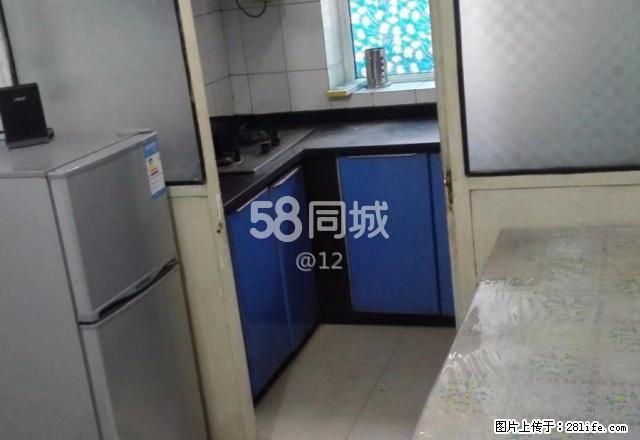 5金城花园 1室1厅1卫 - 房屋出租 - 房屋租售 - 石河子分类信息 - 石河子28生活网 shz.28life.com