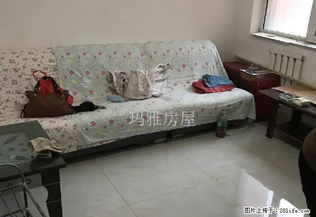 12小区四楼精装修未入住天虹家具城旁拎包入住 - 房屋出租 - 房屋租售 - 石河子分类信息 - 石河子28生活网 shz.28life.com