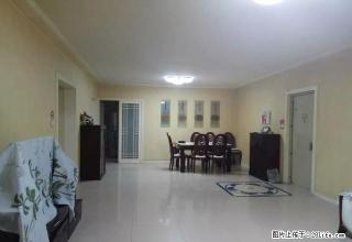 好家乡附近1小区高层三室两厅中装出租 - 石河子28生活网 shz.28life.com