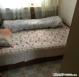 13小区人民医院附近两室一厅的房子出租！ - 石河子28生活网 shz.28life.com