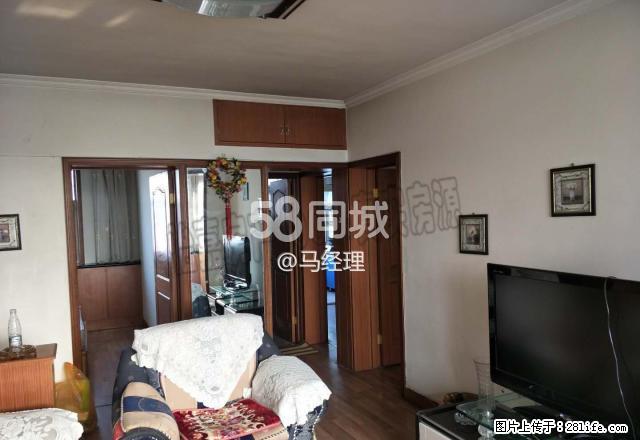 20号小区 2室2厅1卫 - 房屋出租 - 房屋租售 - 石河子分类信息 - 石河子28生活网 shz.28life.com