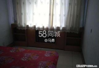 二毛市场 2室1厅1卫 - 石河子28生活网 shz.28life.com