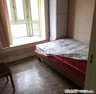 夏威夷2室2厅1卫急租 生活方便 交通便利 - 石河子28生活网 shz.28life.com