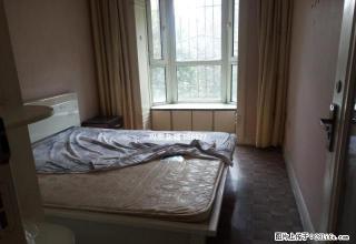 31小区大学北门内 精装2楼 急租 - 石河子28生活网 shz.28life.com