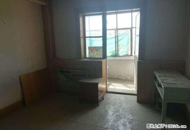 1小区带简单的家具、你要看房可以联系我 - 房屋出租 - 房屋租售 - 石河子分类信息 - 石河子28生活网 shz.28life.com