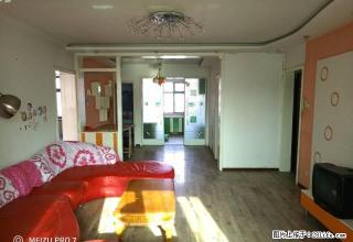 东明新村精装好房出租 - 石河子28生活网 shz.28life.com