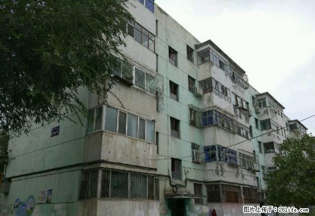 33小区 2室2厅1卫 - 房屋出租 - 房屋租售 - 石河子分类信息 - 石河子28生活网 shz.28life.com