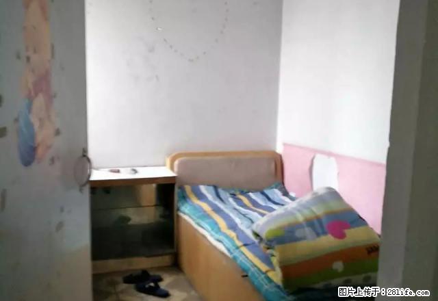 1小区1中1小学 QU房房出租 交通便利 离学校近 购物方便 - 房屋出租 - 房屋租售 - 石河子分类信息 - 石河子28生活网 shz.28life.com