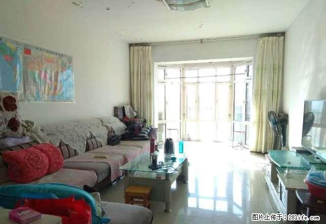 三中 二医院 景观河 康乐市场 地理位置优越 南北通透 - 房屋出租 - 房屋租售 - 石河子分类信息 - 石河子28生活网 shz.28life.com