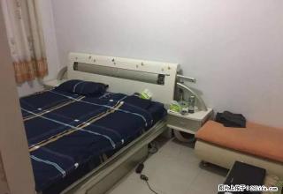 伯爵房子出租欢迎致电，房子很不错 - 石河子28生活网 shz.28life.com