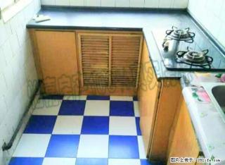 低价出租63小区二毛市场 850元 2室2厅1卫 普通装修， - 石河子28生活网 shz.28life.com