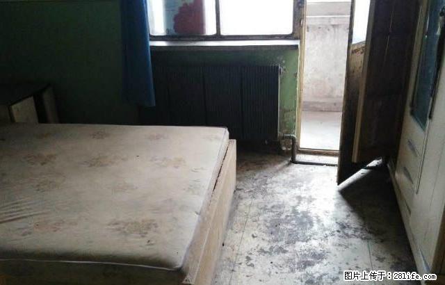 配套齐全,16小区 750元 2室2厅1卫 普通装修急租! - 房屋出租 - 房屋租售 - 石河子分类信息 - 石河子28生活网 shz.28life.com