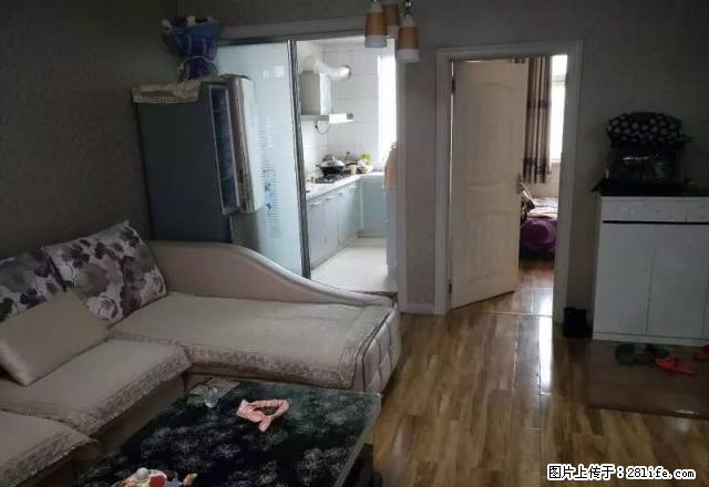 12小区友谊大厦精装修婚房出租 - 房屋出租 - 房屋租售 - 石河子分类信息 - 石河子28生活网 shz.28life.com