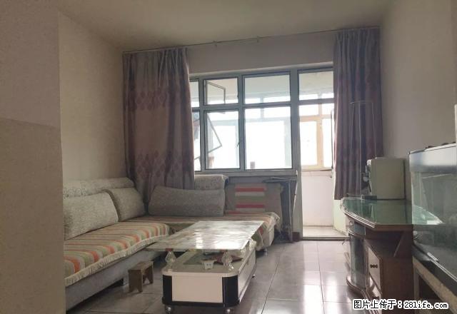 8小区标准一室一厅平价出租 - 房屋出租 - 房屋租售 - 石河子分类信息 - 石河子28生活网 shz.28life.com