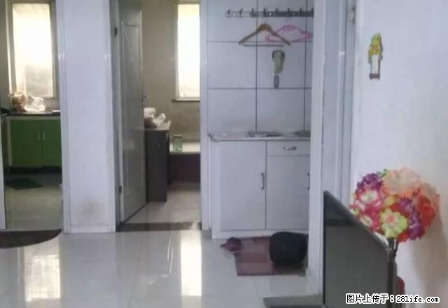 5小区 金宝2楼两室两厅出租 - 房屋出租 - 房屋租售 - 石河子分类信息 - 石河子28生活网 shz.28life.com