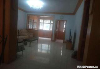 3小区三室两厅全套家具家电出租 - 石河子28生活网 shz.28life.com