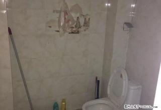 6小区新华书店正对面大两室两厅出租！ - 石河子28生活网 shz.28life.com