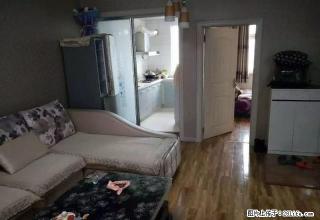 12小区友谊大厦精装修婚房出租 - 石河子28生活网 shz.28life.com