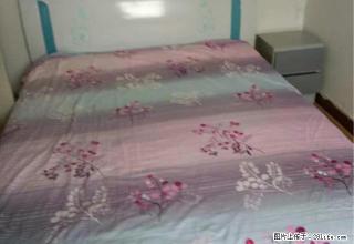 8小区标准一室一厅出租 - 石河子28生活网 shz.28life.com