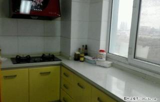 43小区林海花苑精装单身公寓干净家具齐全急租！！ - 石河子28生活网 shz.28life.com