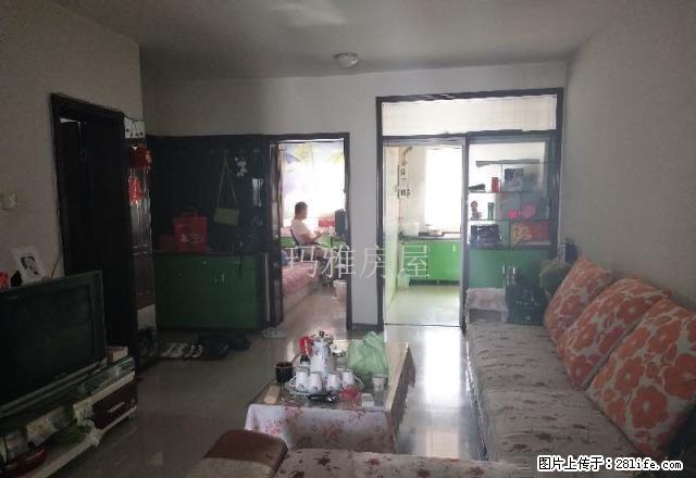 金宝房产服装城精装急租整租 - 房屋出租 - 房屋租售 - 石河子分类信息 - 石河子28生活网 shz.28life.com